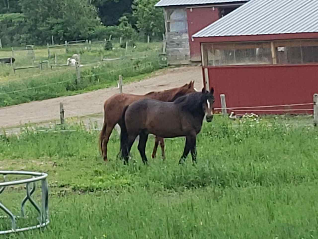 River Run Farm