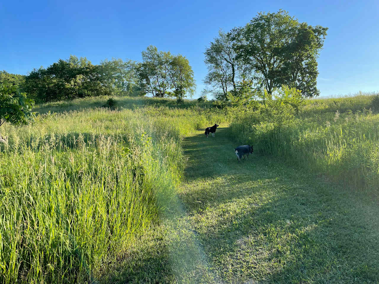 Trail on campsite