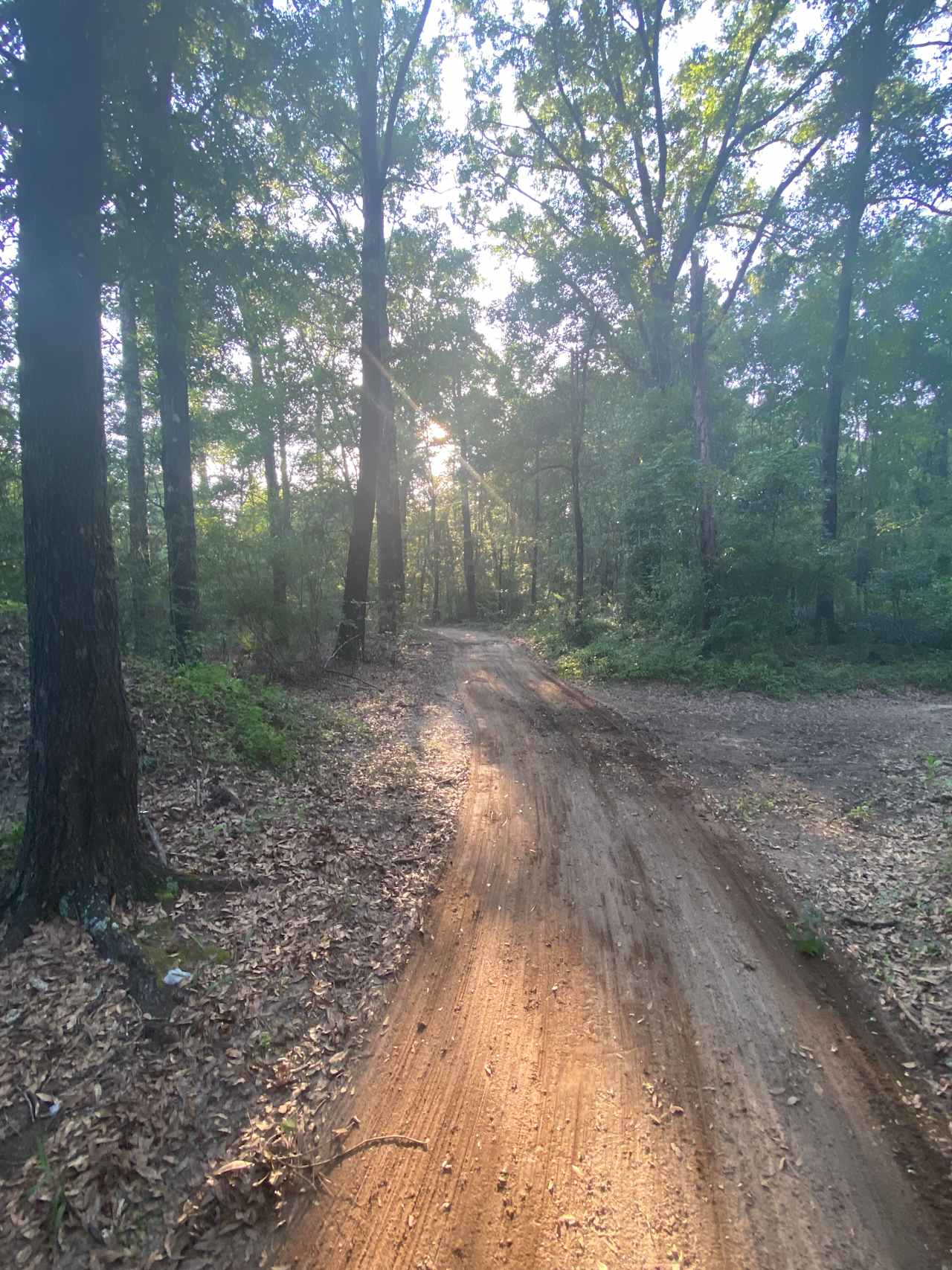 ~2 miles winding miles of mostly wooded hiking trails.