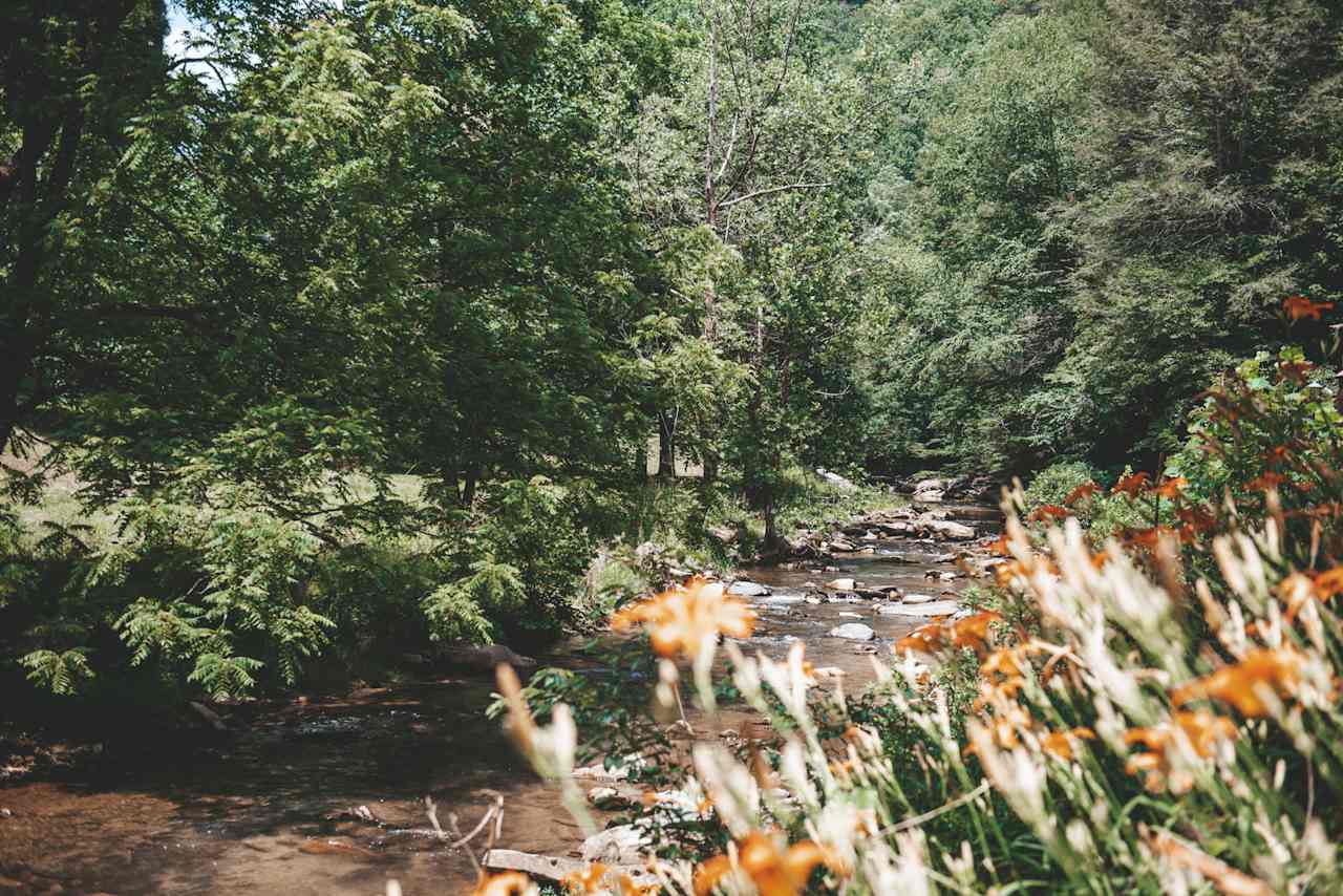 joyville, camping site on elk creek