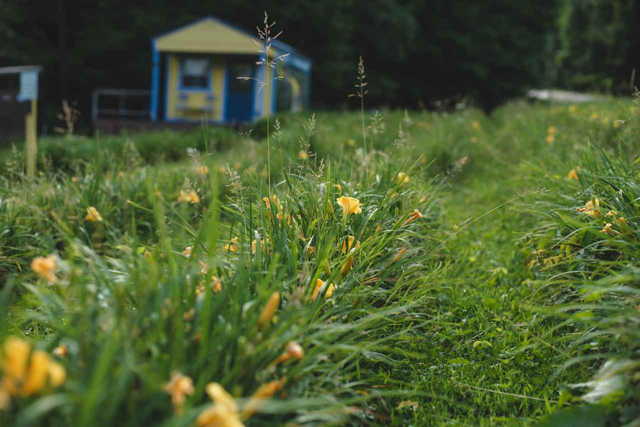 Meadowsweet Gardens