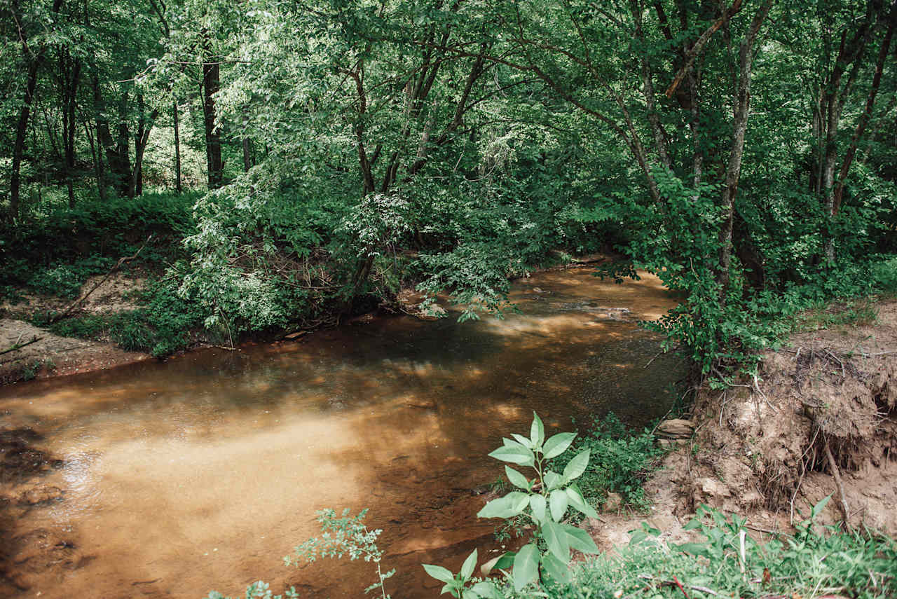 Secluded Mitchel River Camping