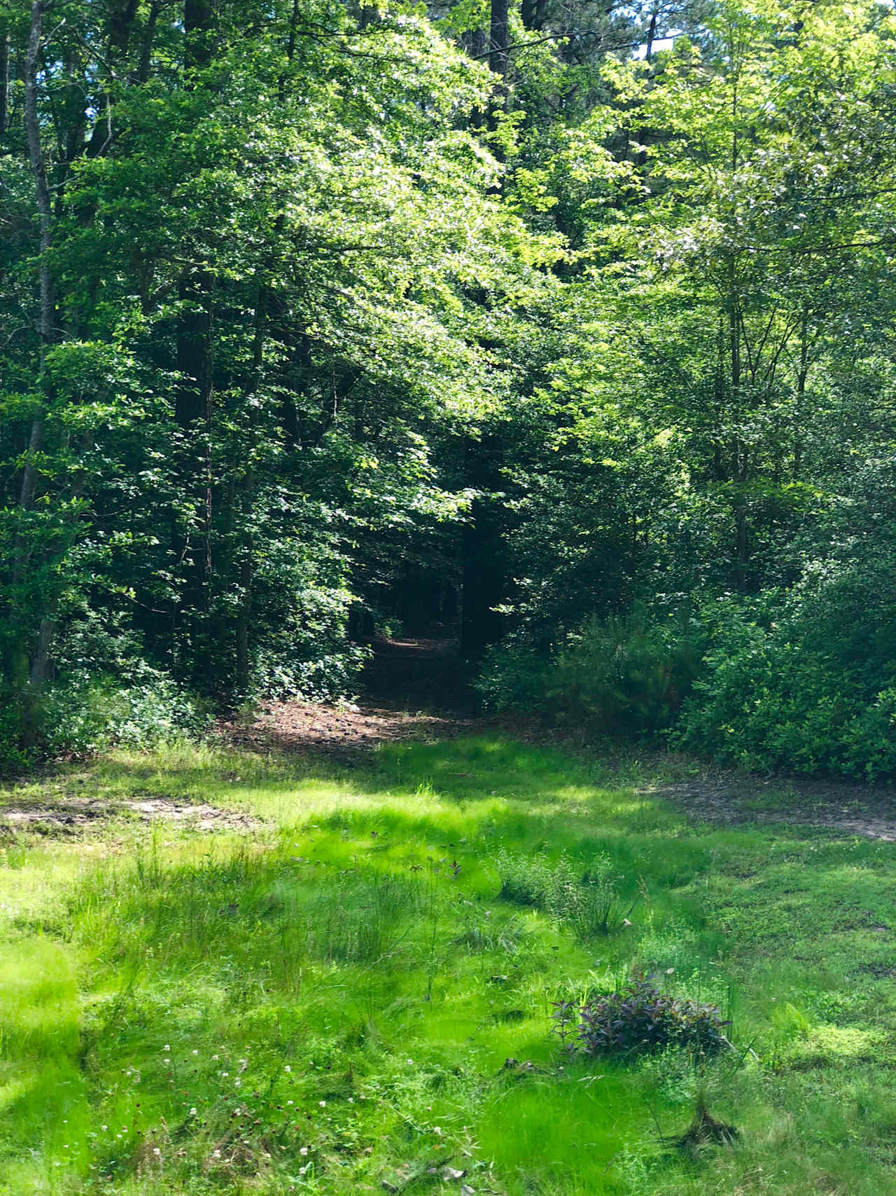 Peace Hill Farm