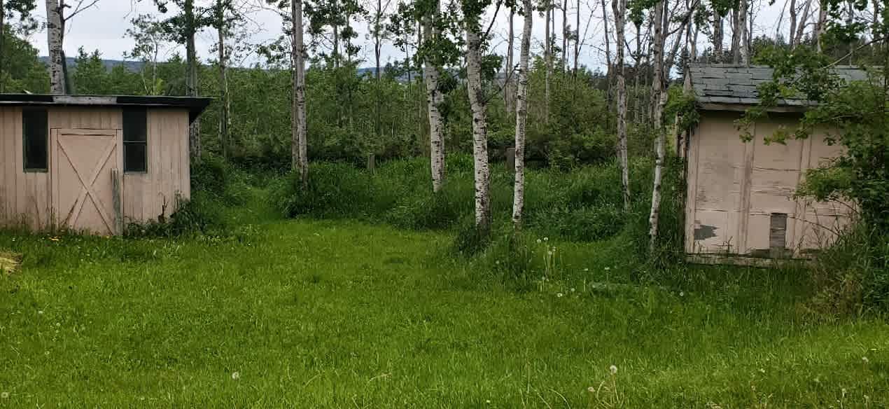 Wildflower Meadows