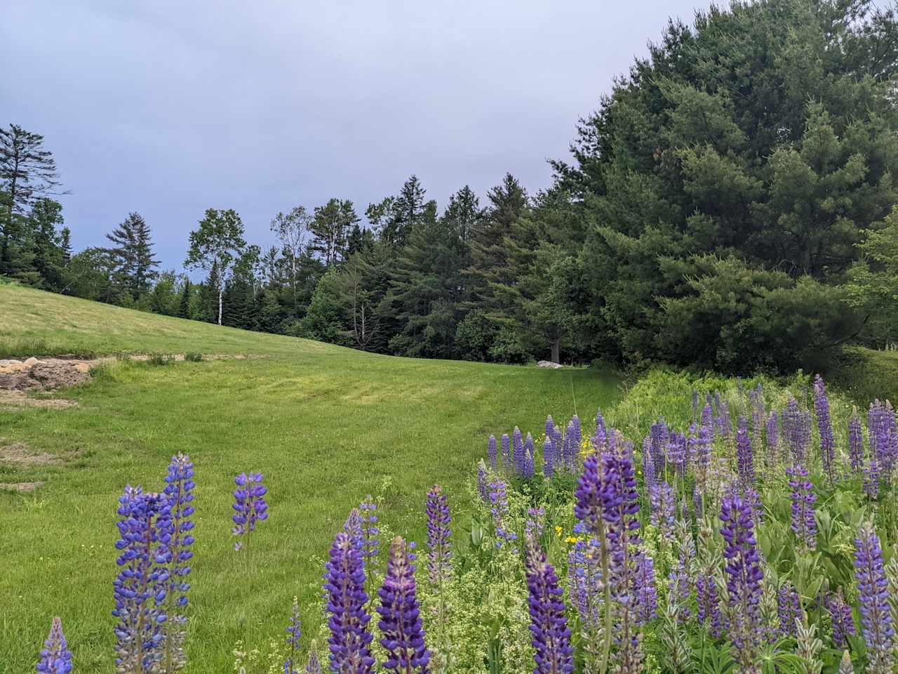 Private field and woods camping