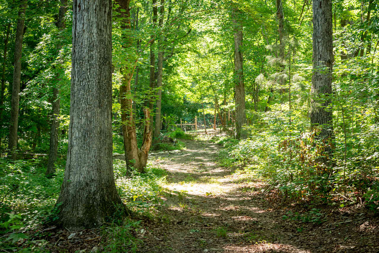 View back to gate entrance