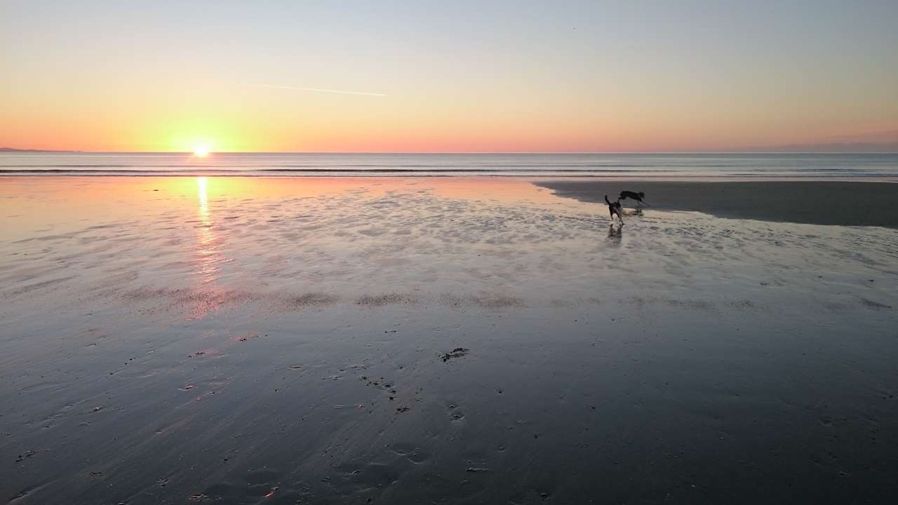 Beautiful local beaches within a few miles