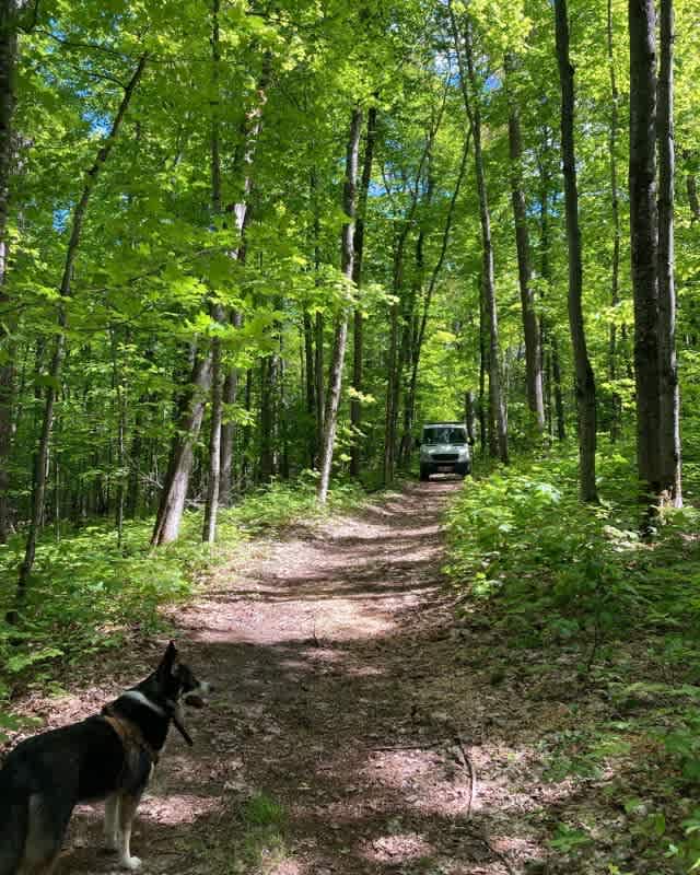 Possum Creek Campground