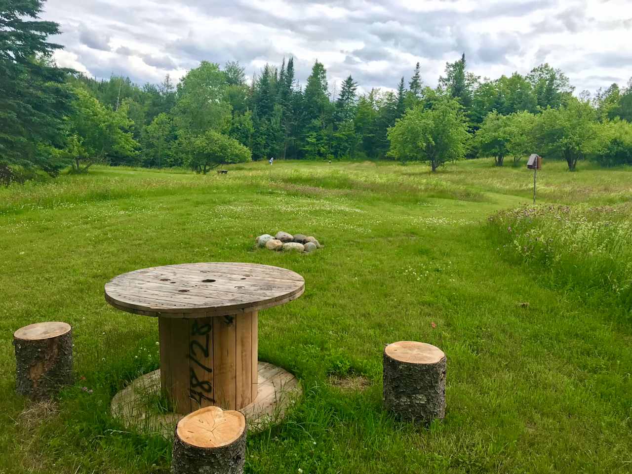 Community fire pit site