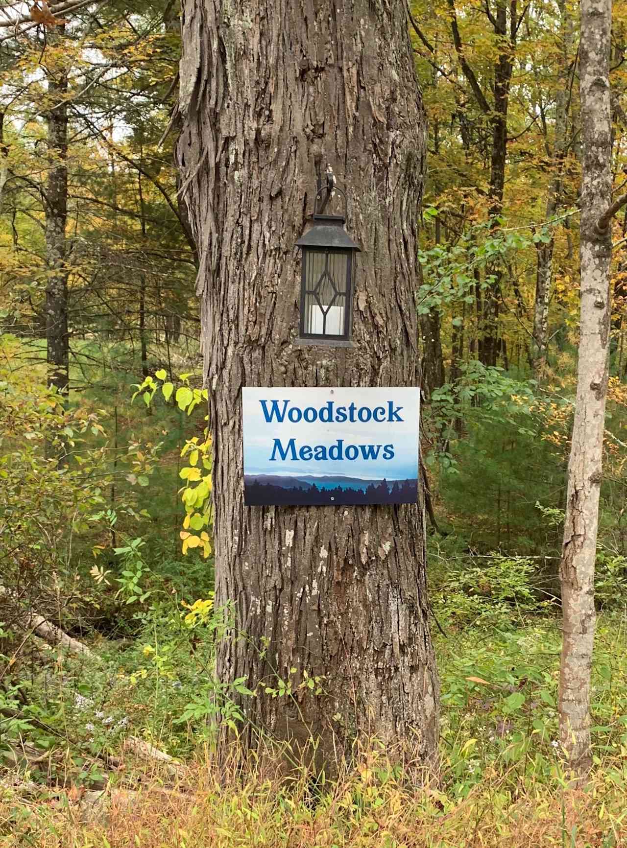 Woodstock Meadows - The Knoll