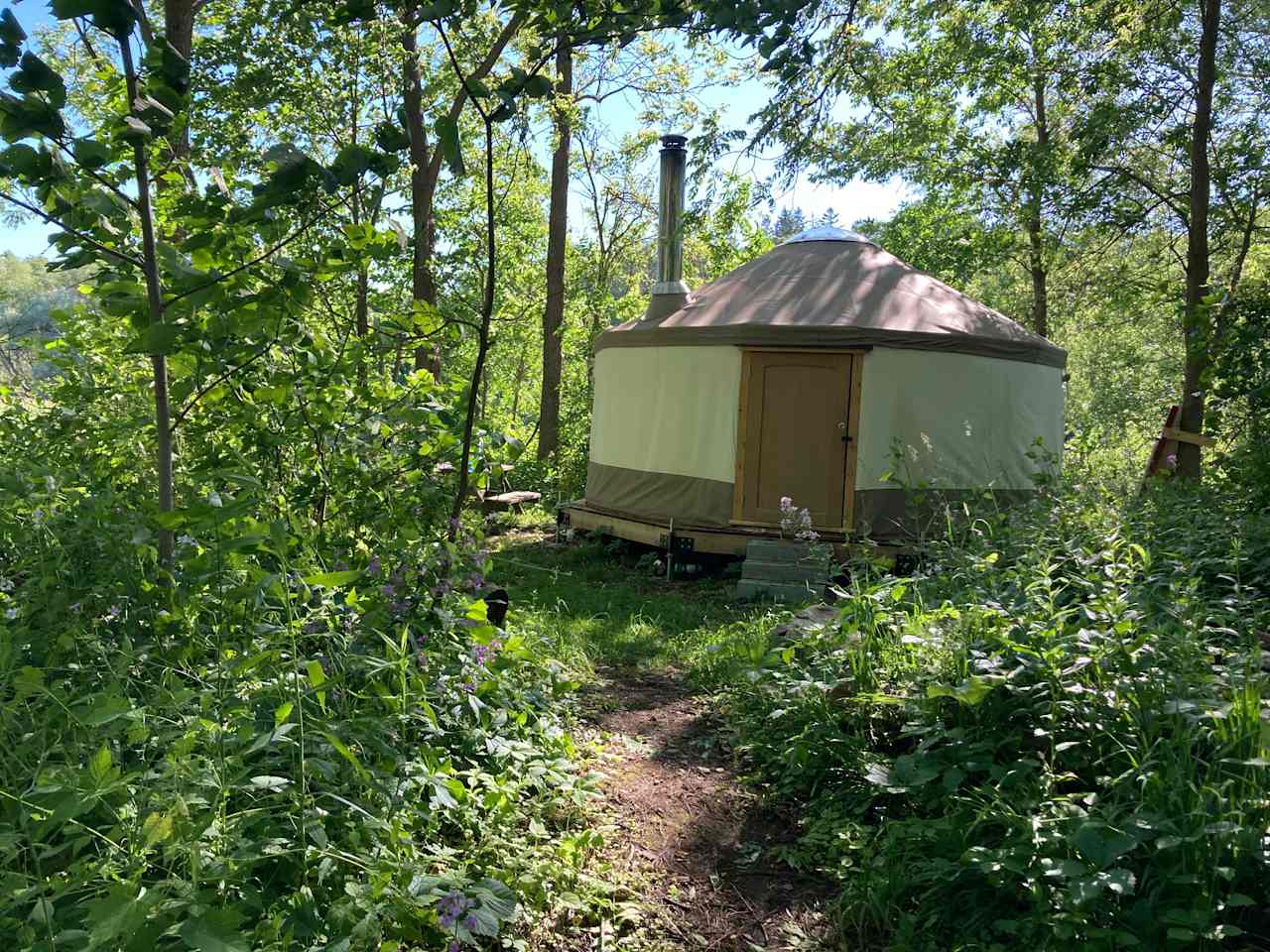 Discover the best dog friendly yurt rentals in Ontario