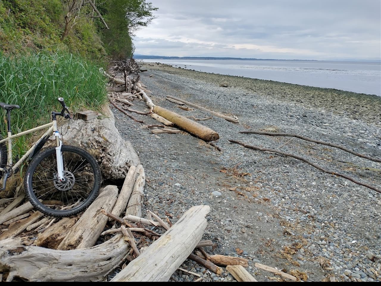 Mussel beach is a very short walk from Lucky Turtle. 