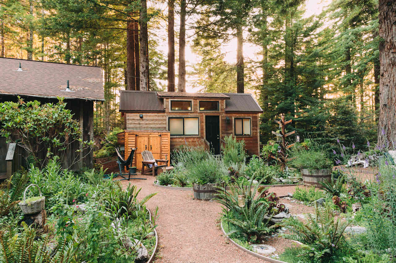 tiny home & gardens