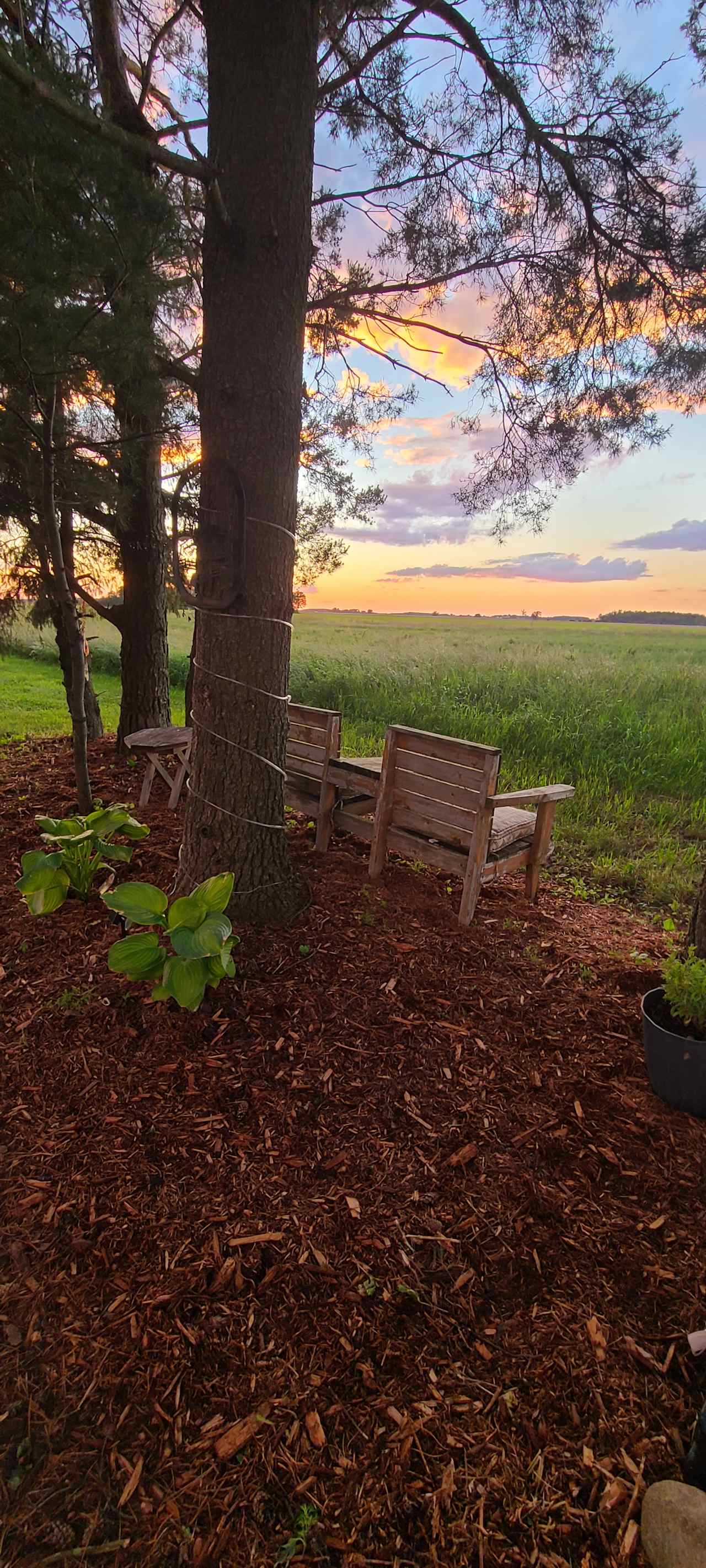 Crossroads Country Cabins & Camping