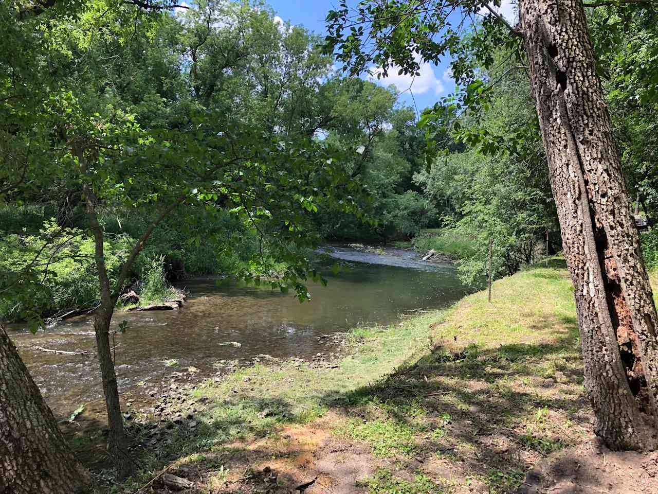 Site #1 - View of river from site