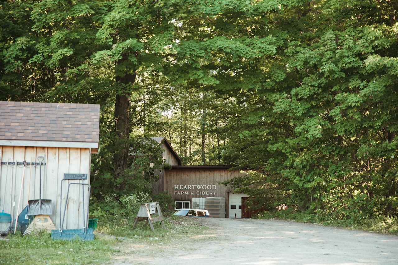 The view from the barn.