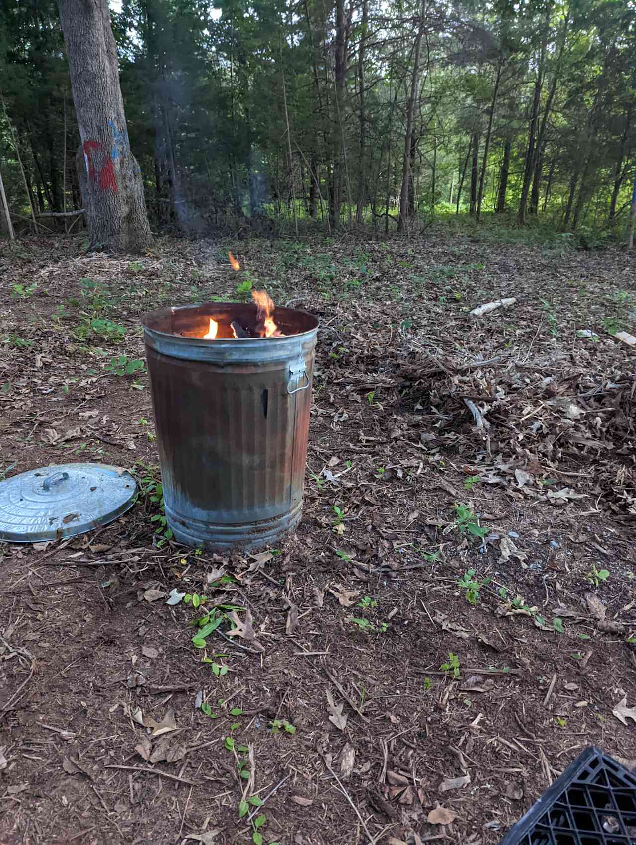 Area with woods you can start a fire use any of the trees that are on ground or sticks. No fire on a windy day please 