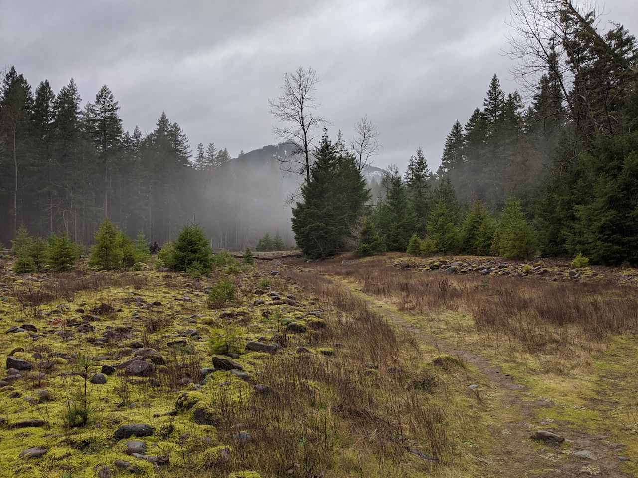 A foggy Skate Creek Skate Park