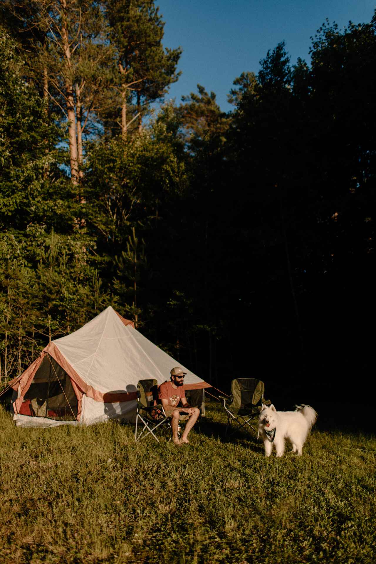 Campsite in the soft grass beneath the trees. 