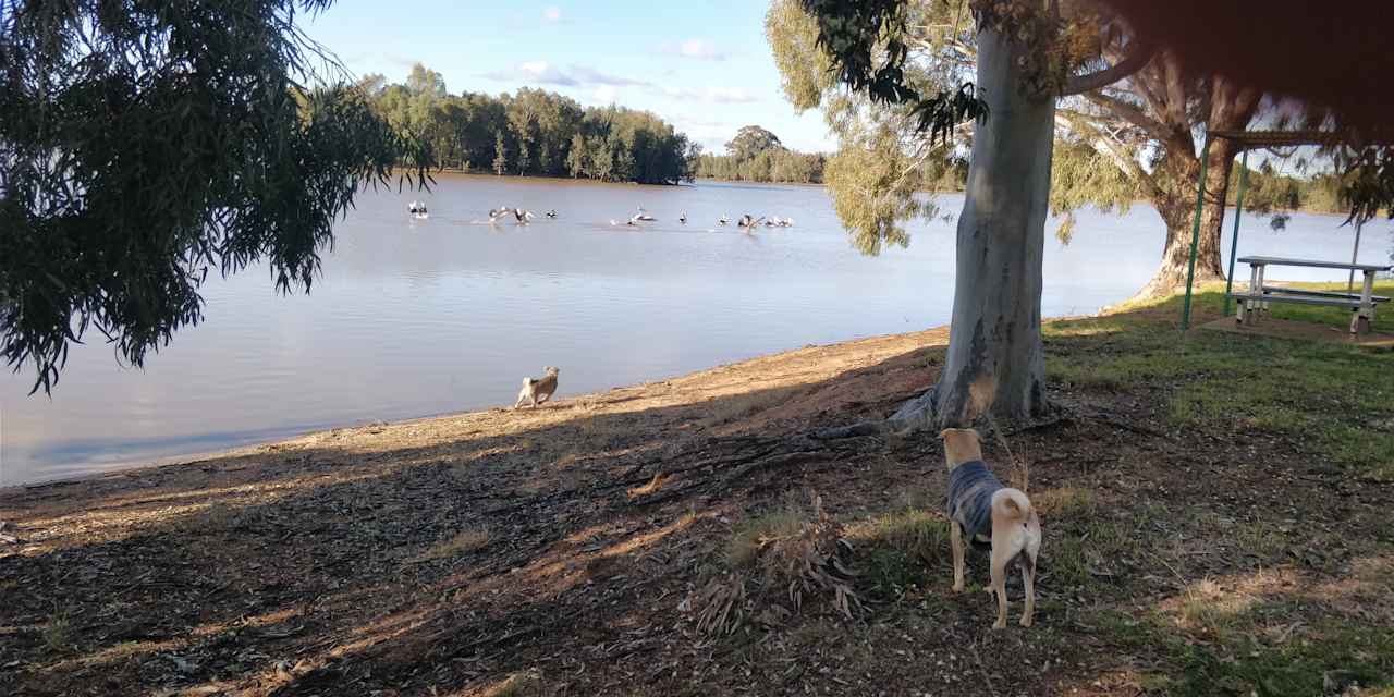 Mirrool Creek, Lake Abortree