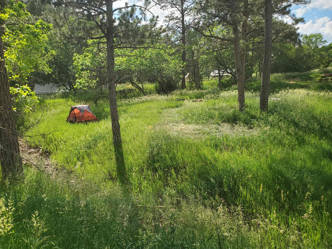 Bear Den Cabins & Camp