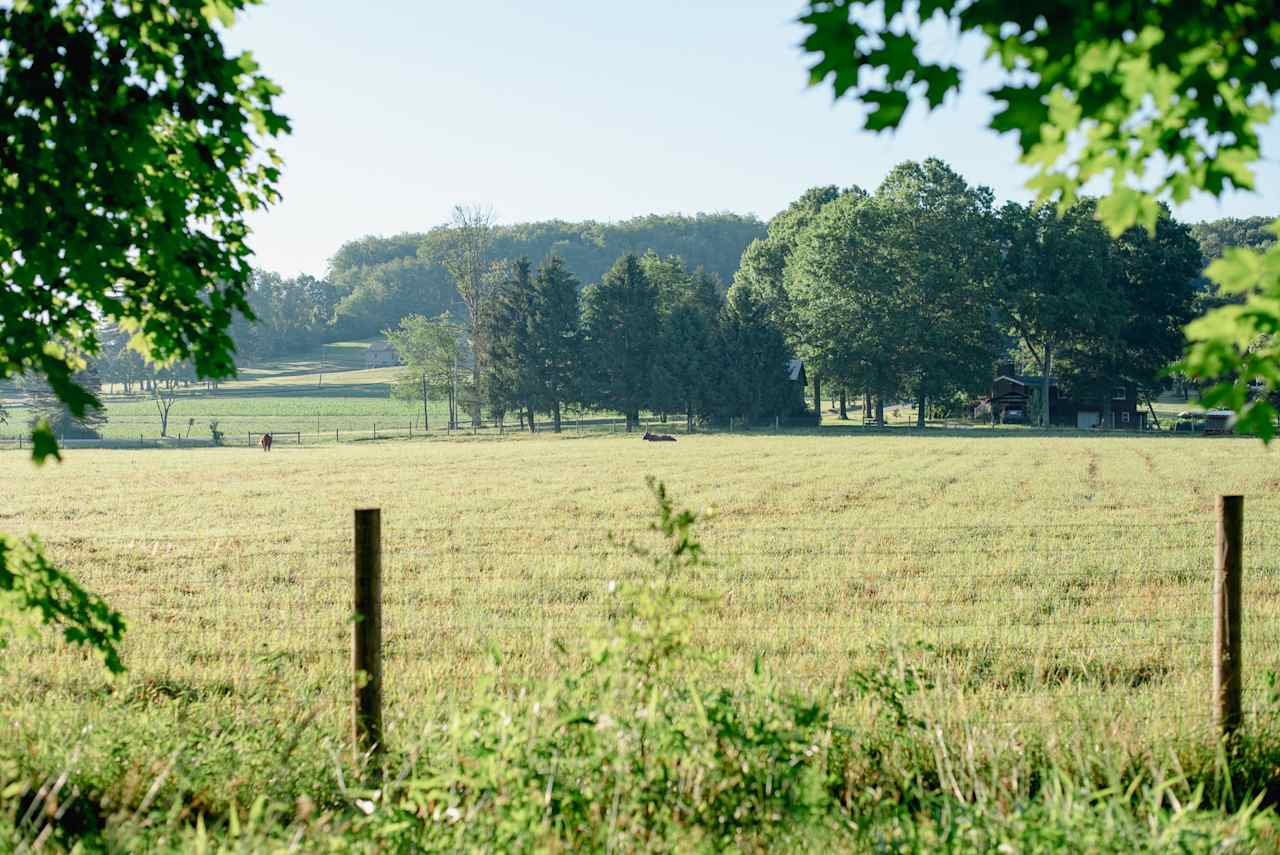 Footbridge Haven Farm