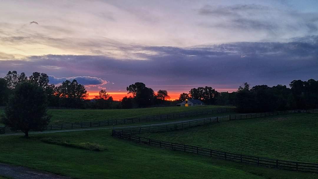 Narrow Gate Farm