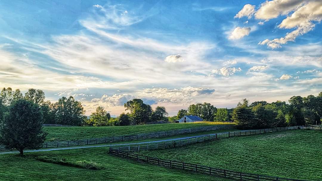 Narrow Gate Farm