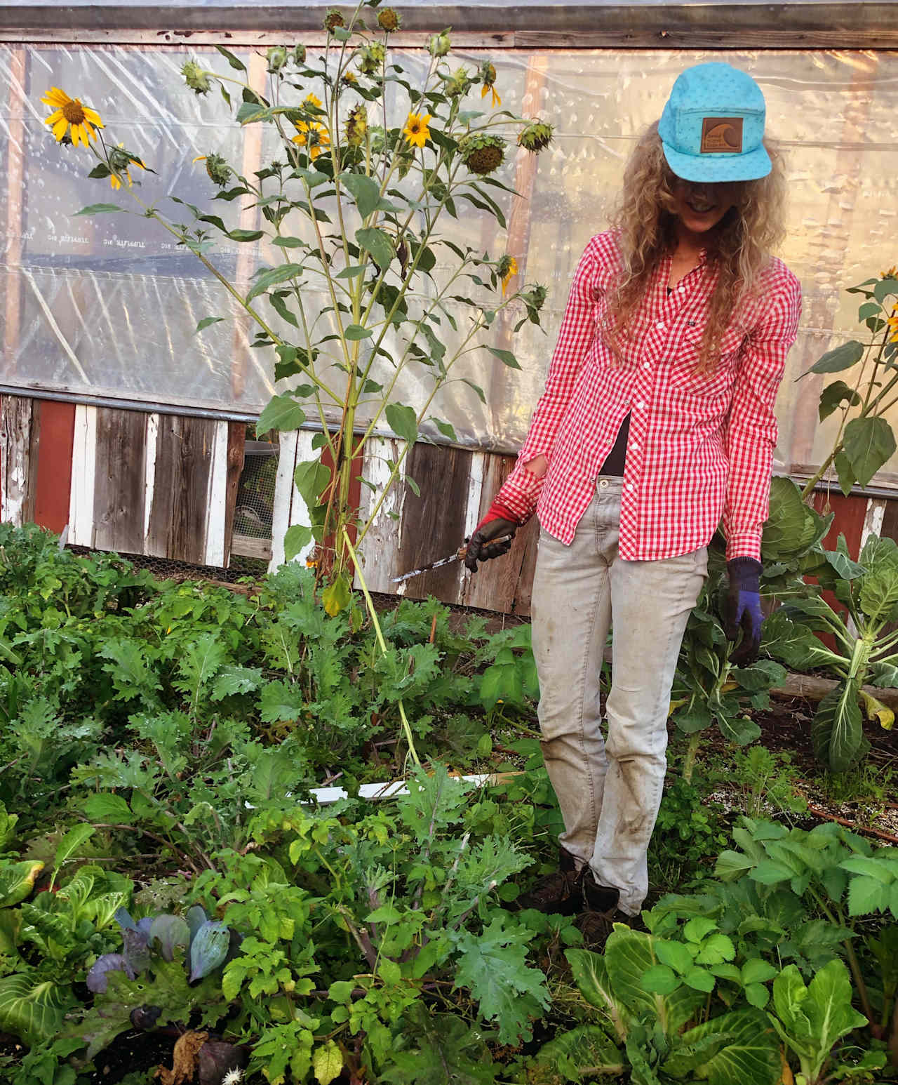 Doctor Sunshine, in the sunshine garden!