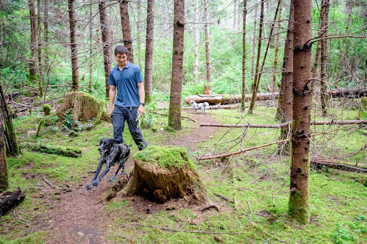 At the far end of the backyard is the access point to some beautiful hiking trails. 