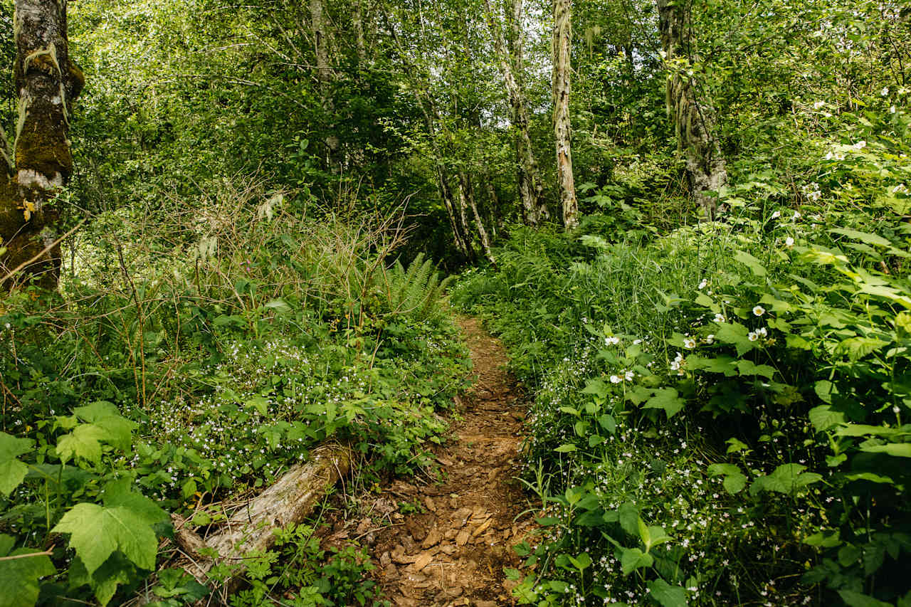 There is a short trail from the parking area to your cars. The path is well-marked.