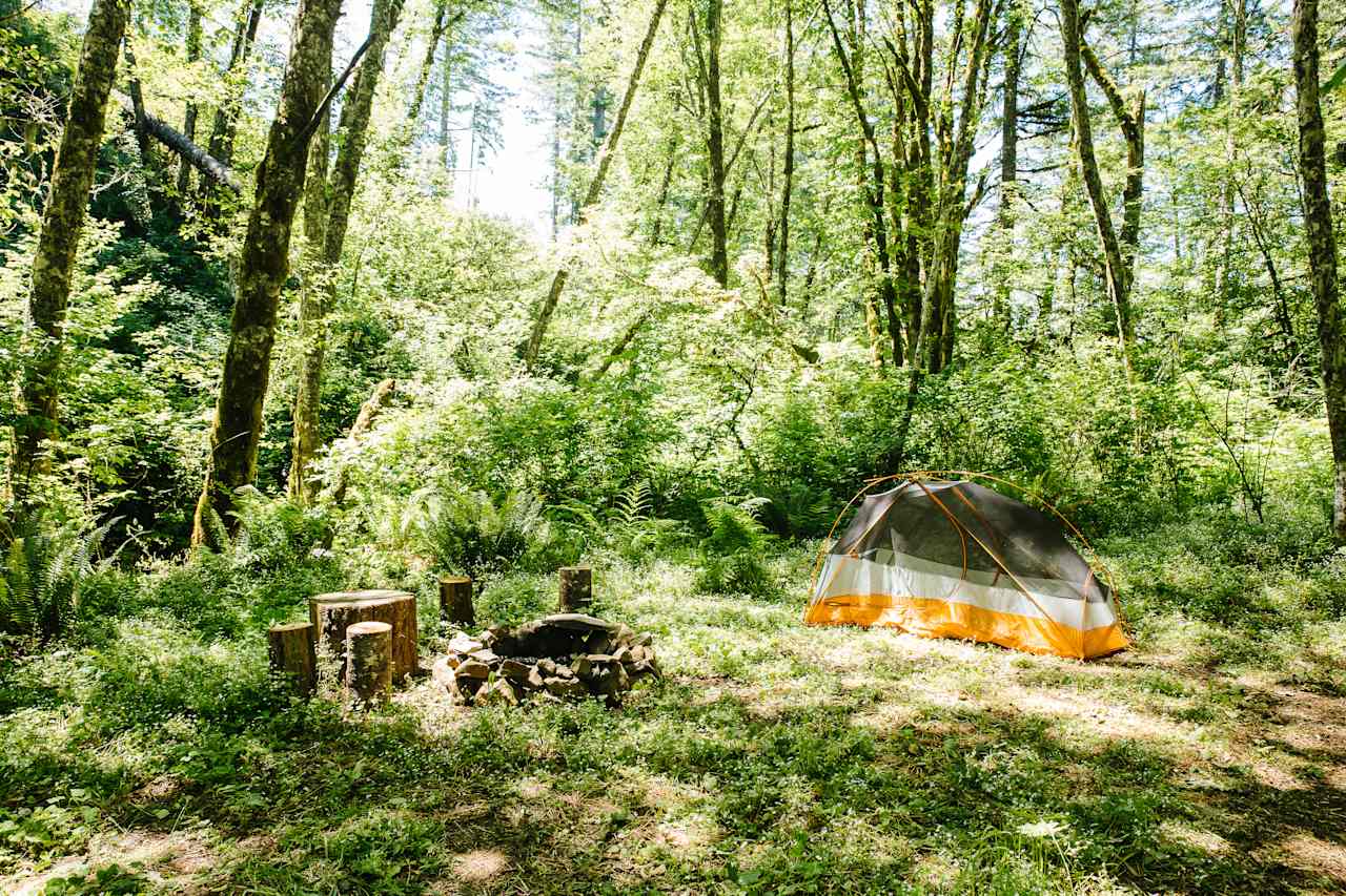 Site 3: Red Alder. This spot is the most private of the three. 