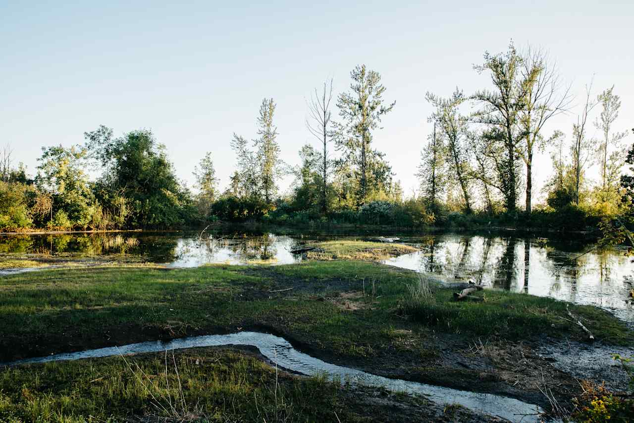 You can take a nice half-mile walk down the driveway to this pond, where there are plenty of ducks and birds