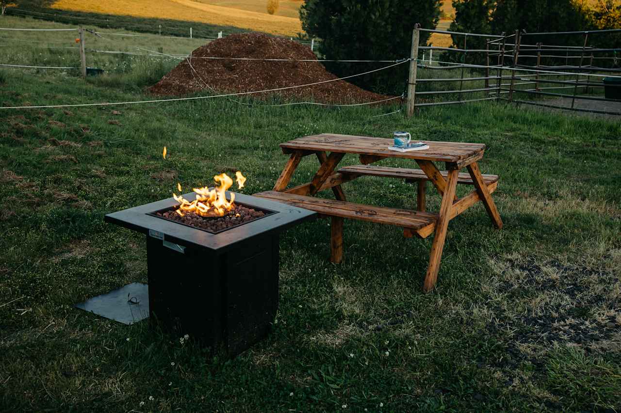 Site 2 also has a picnic table and firepit 