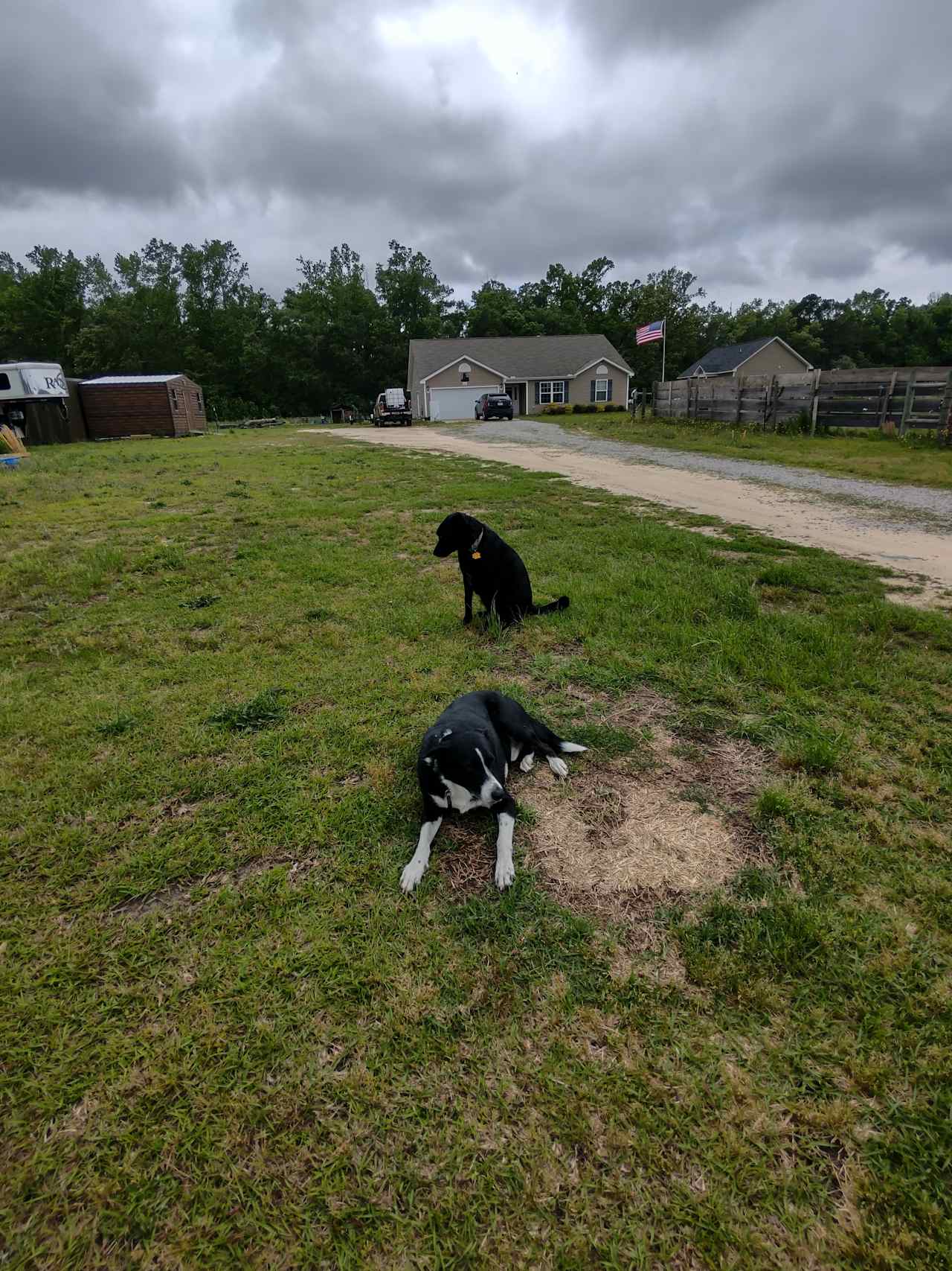 Your greeters, Gatling and Chase