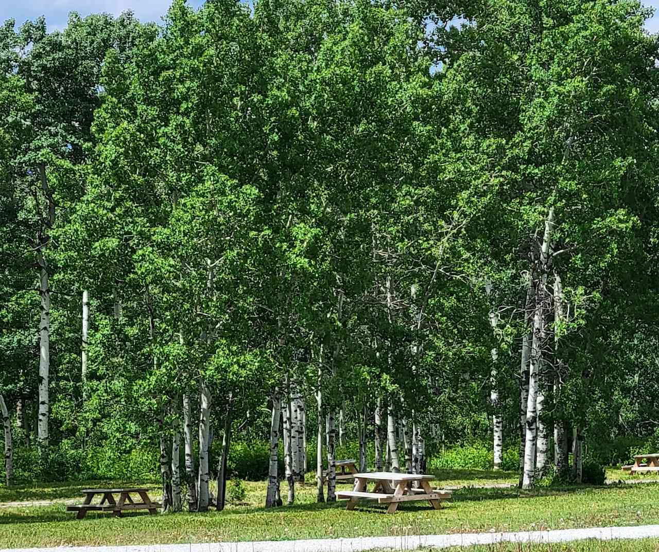 Duck Lake Lodge