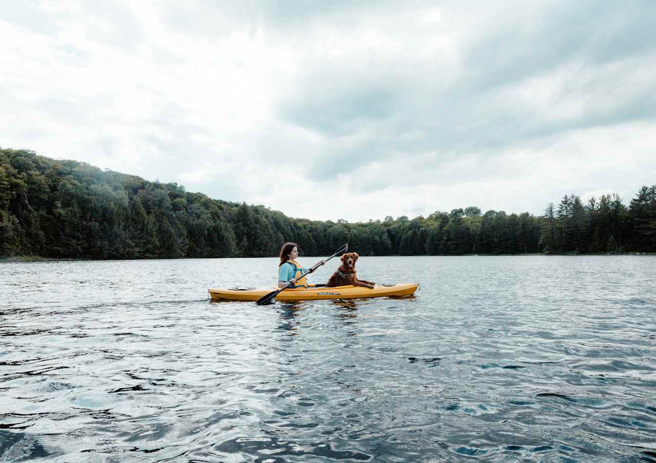 Kayaking with the dog