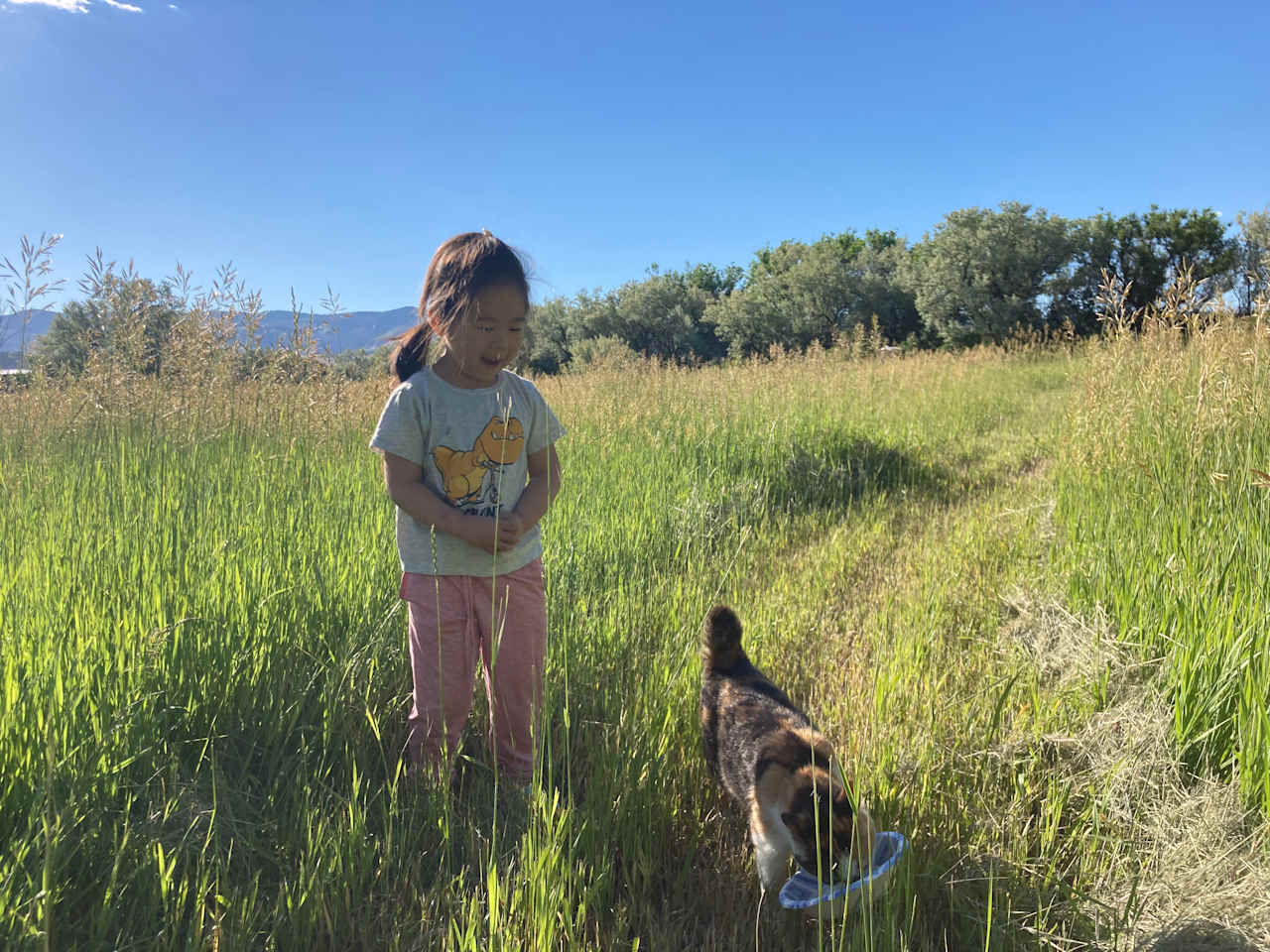 Ponderosa Pine Ranch camp