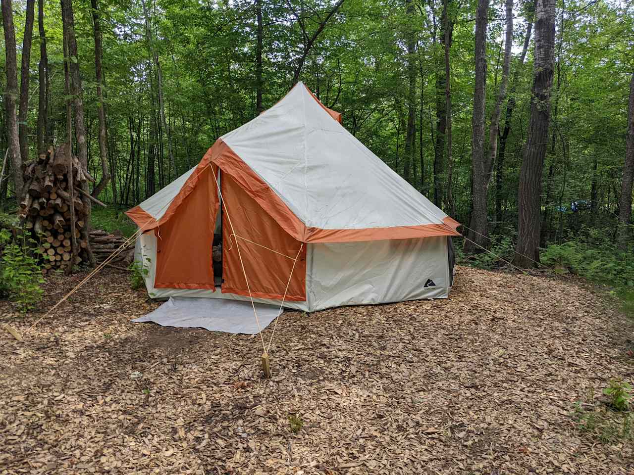 The very best yurt me and my wife have ever stayed in!