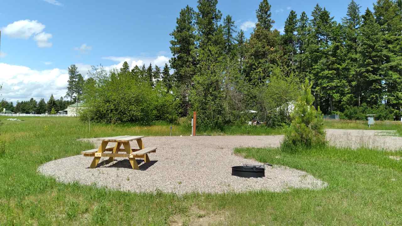 Looking north, lots of trees and other campsite is divided by shrubs