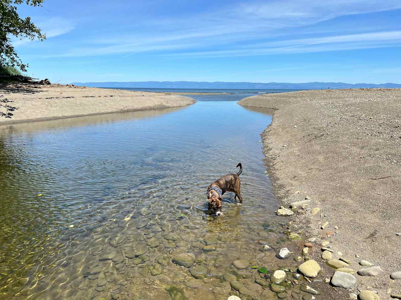 The creek heading into the strait