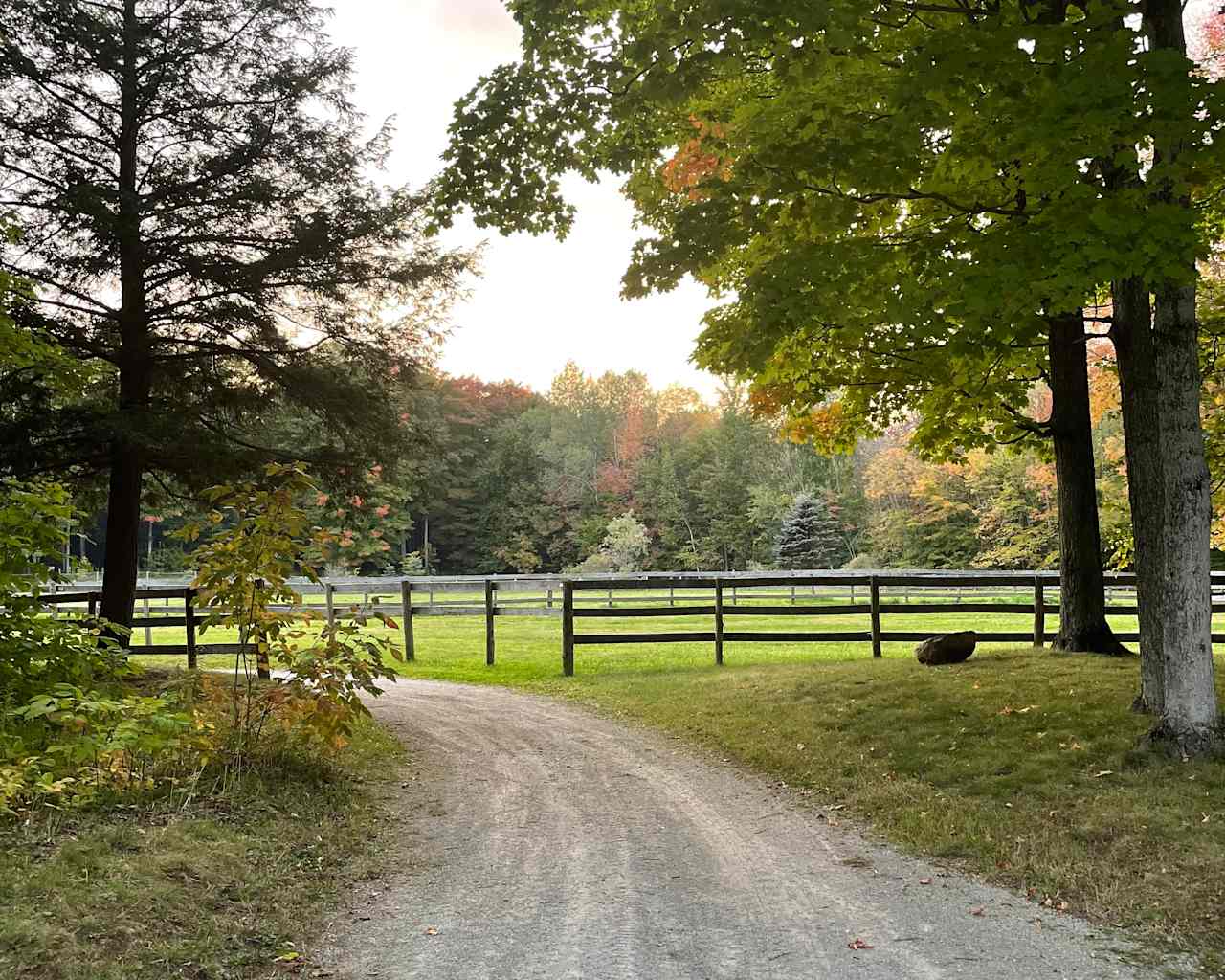 Three Ponds Homestead