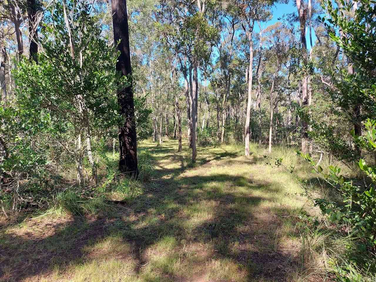 Walking paths around the property 