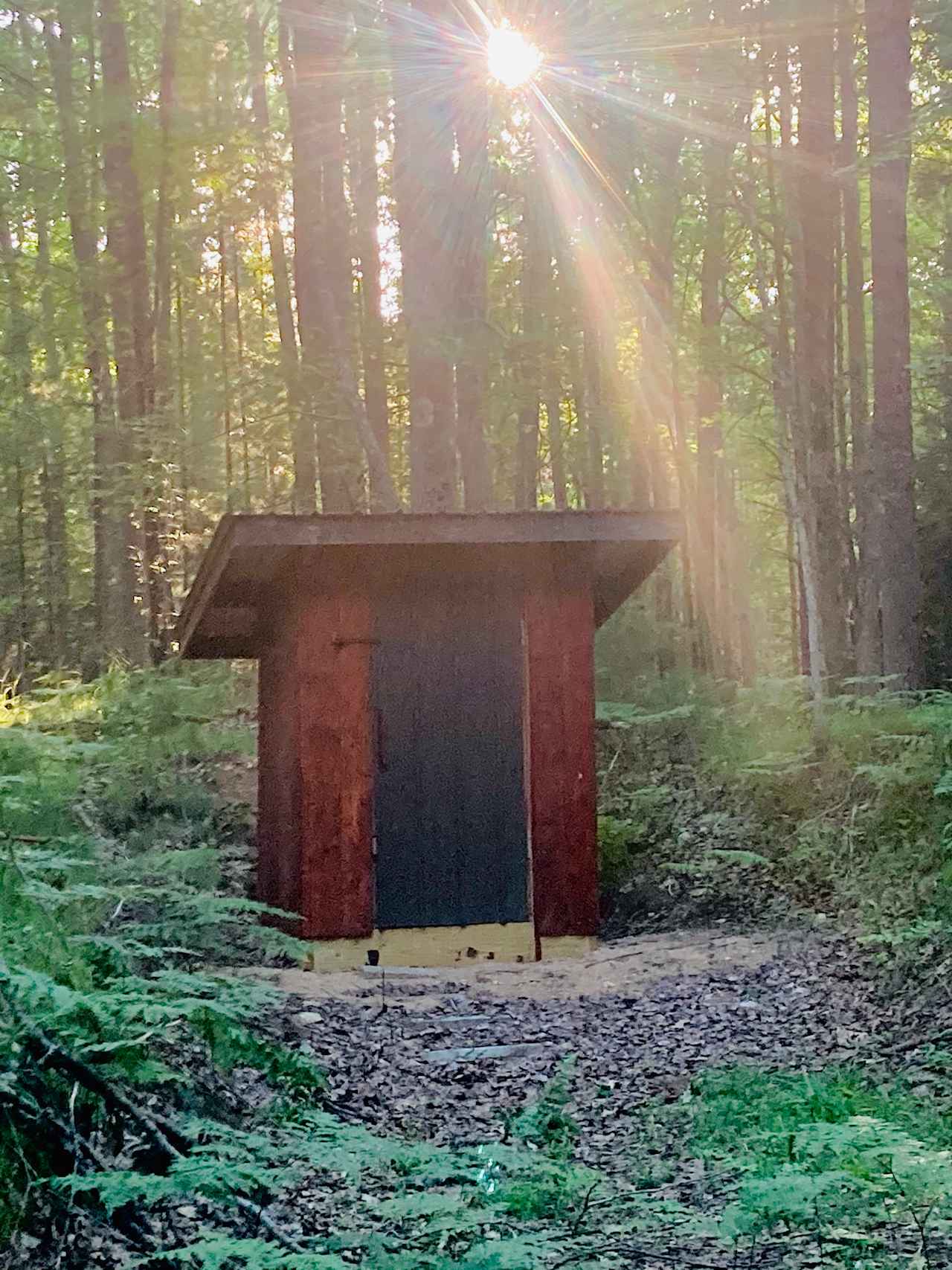 Little River Tiny Cabin - Manistee