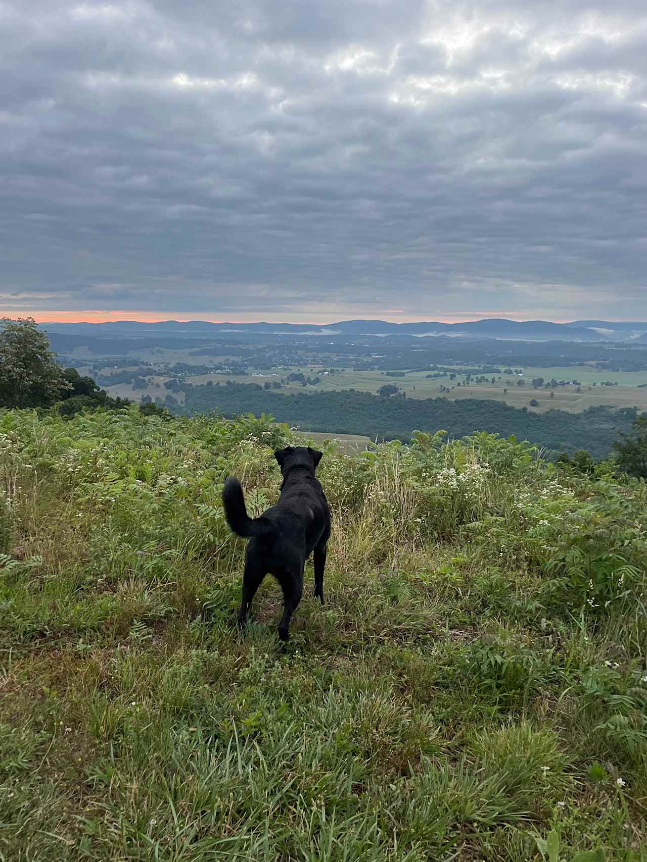 Overlook, camping site