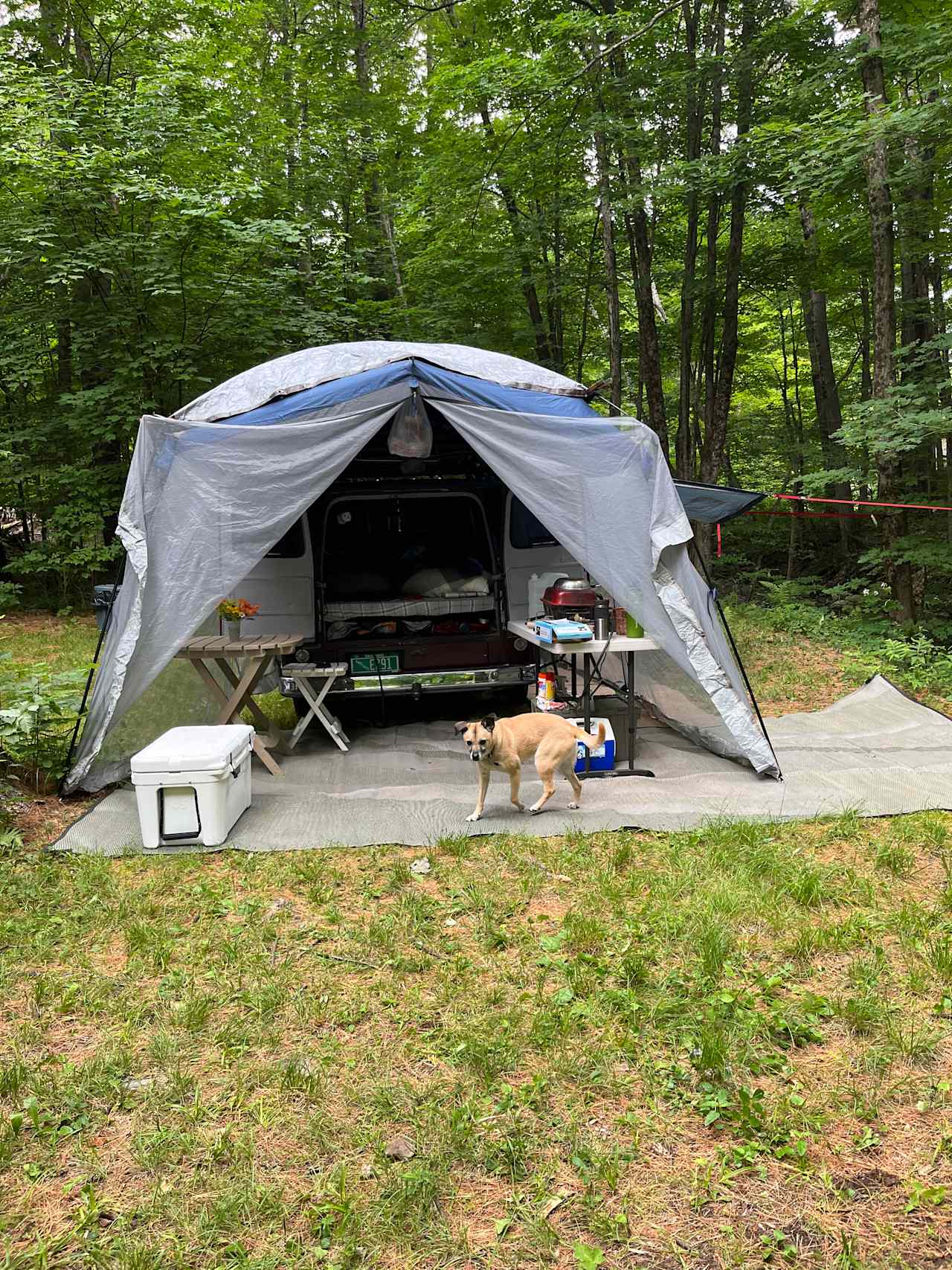 Texas Hill Brook & Dark Star Cabin