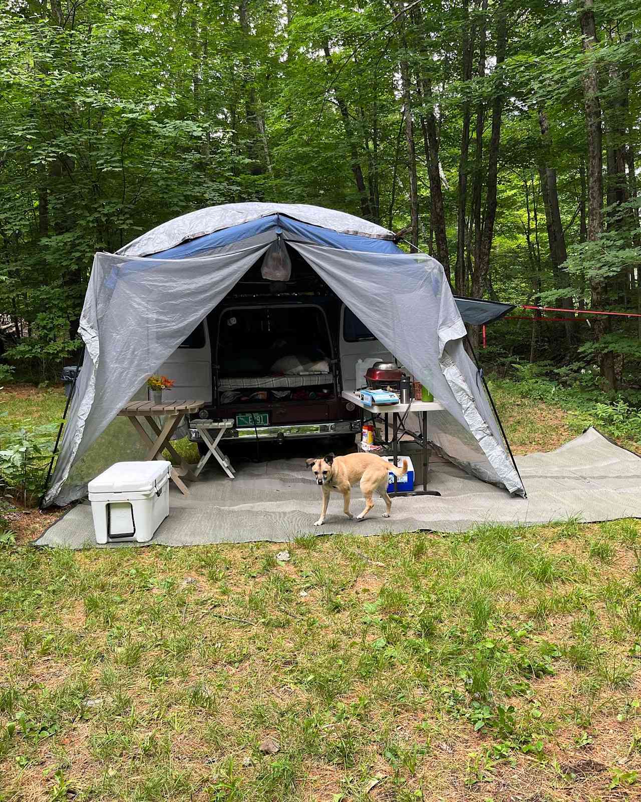 Texas Hill Brook & Dark Star Cabin