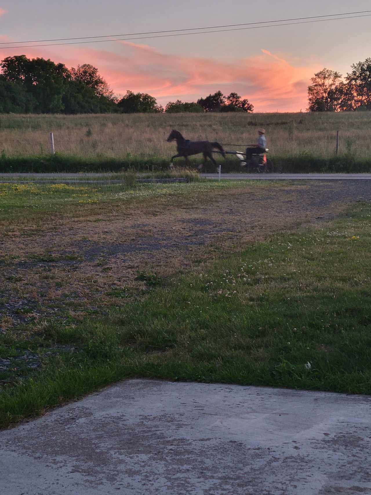 Buggy and the subset