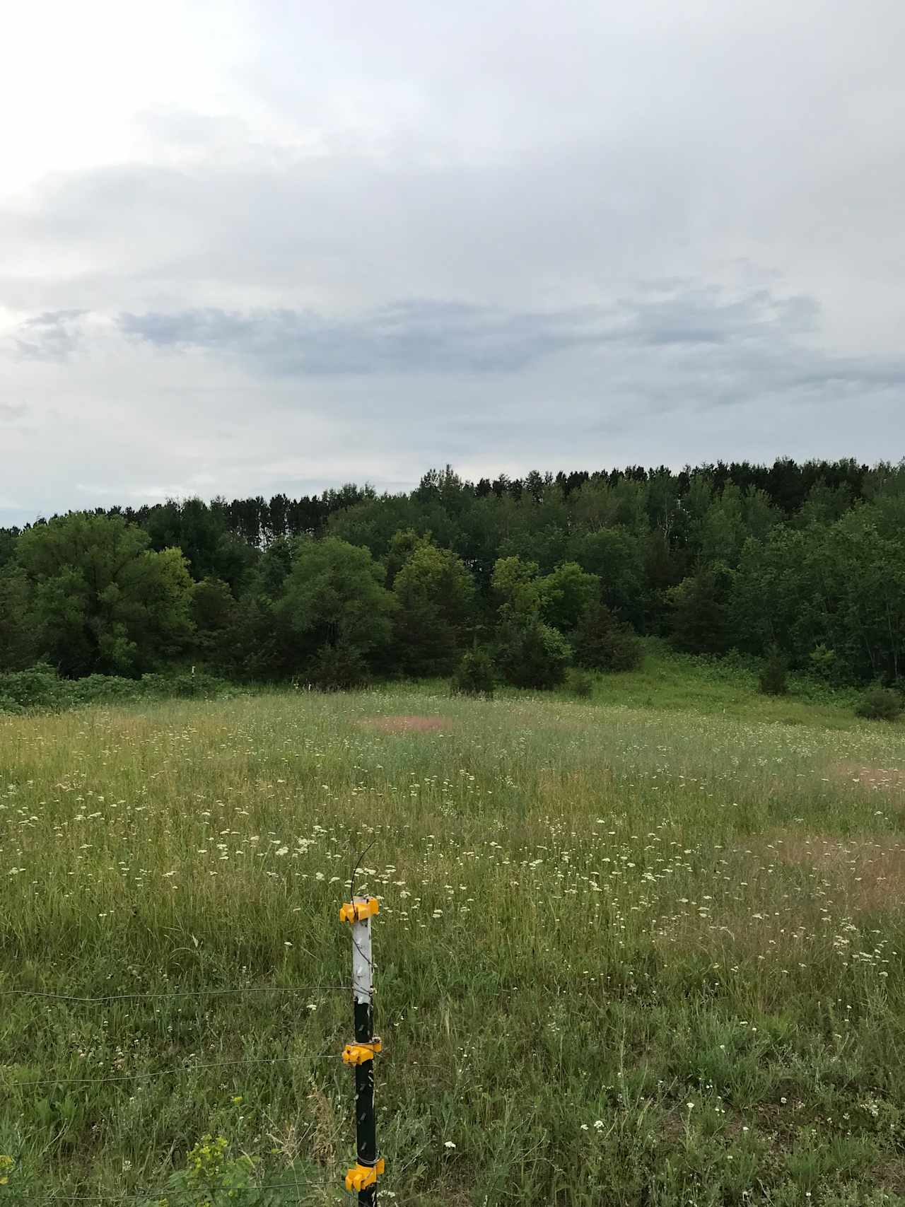 This site is located on the top of our hill and over looks the prairie preserve 