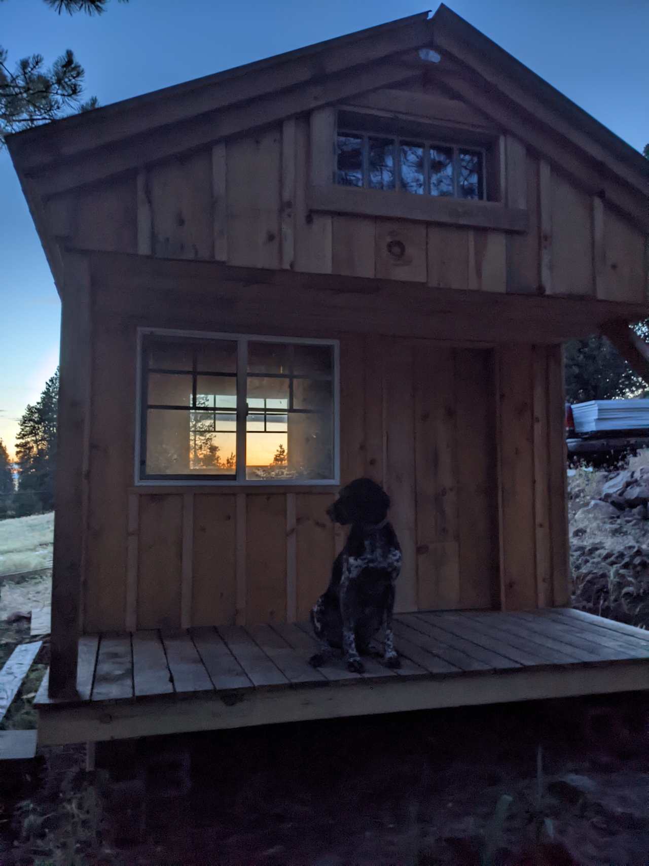 Our dog, Sherlock, on the front porch at the Cabin